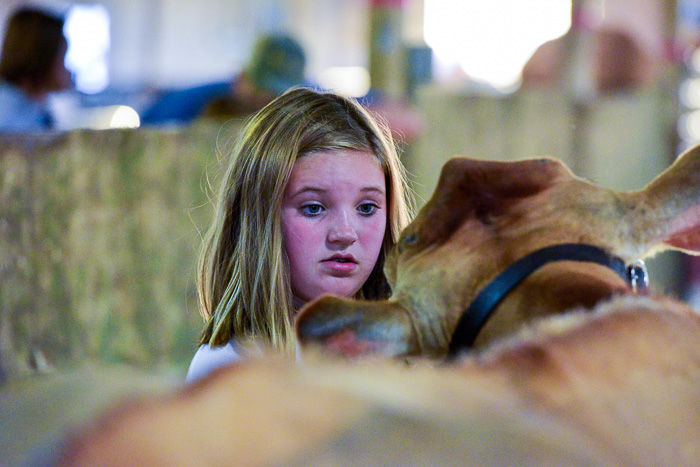 Orangeburg County Fair Dairy Show